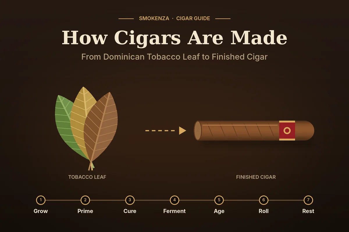 How Cigars Are Made: From Dominican Tobacco Leaf to Finished Cigar